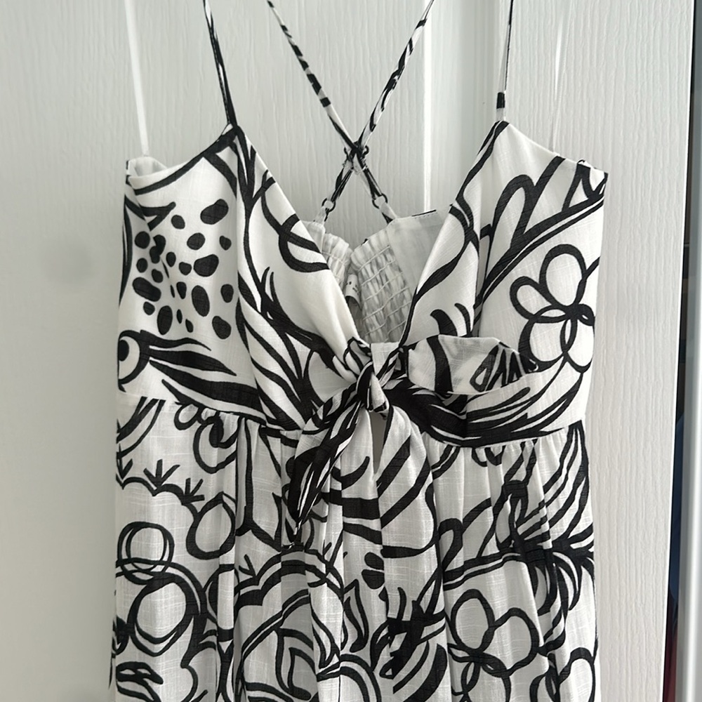 NWT Zara black and white Maxi dress